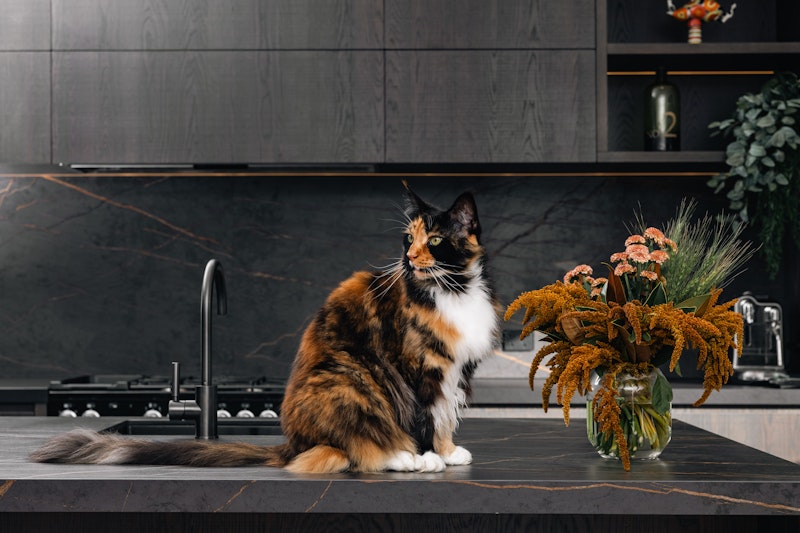 Rustic Revival — kitchen by Kitchens by Design, Auckland — NKBA Excellence in Design 2025